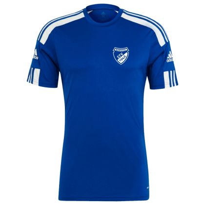 stv-barssel_fussball-trikot.jpg